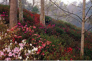 前开发者：加载画面可能会永久呆在B社的游戏中